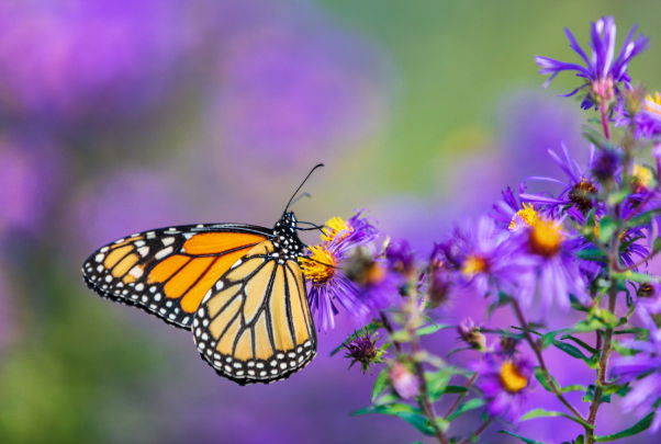 A Mother’s Day Retreat 2026